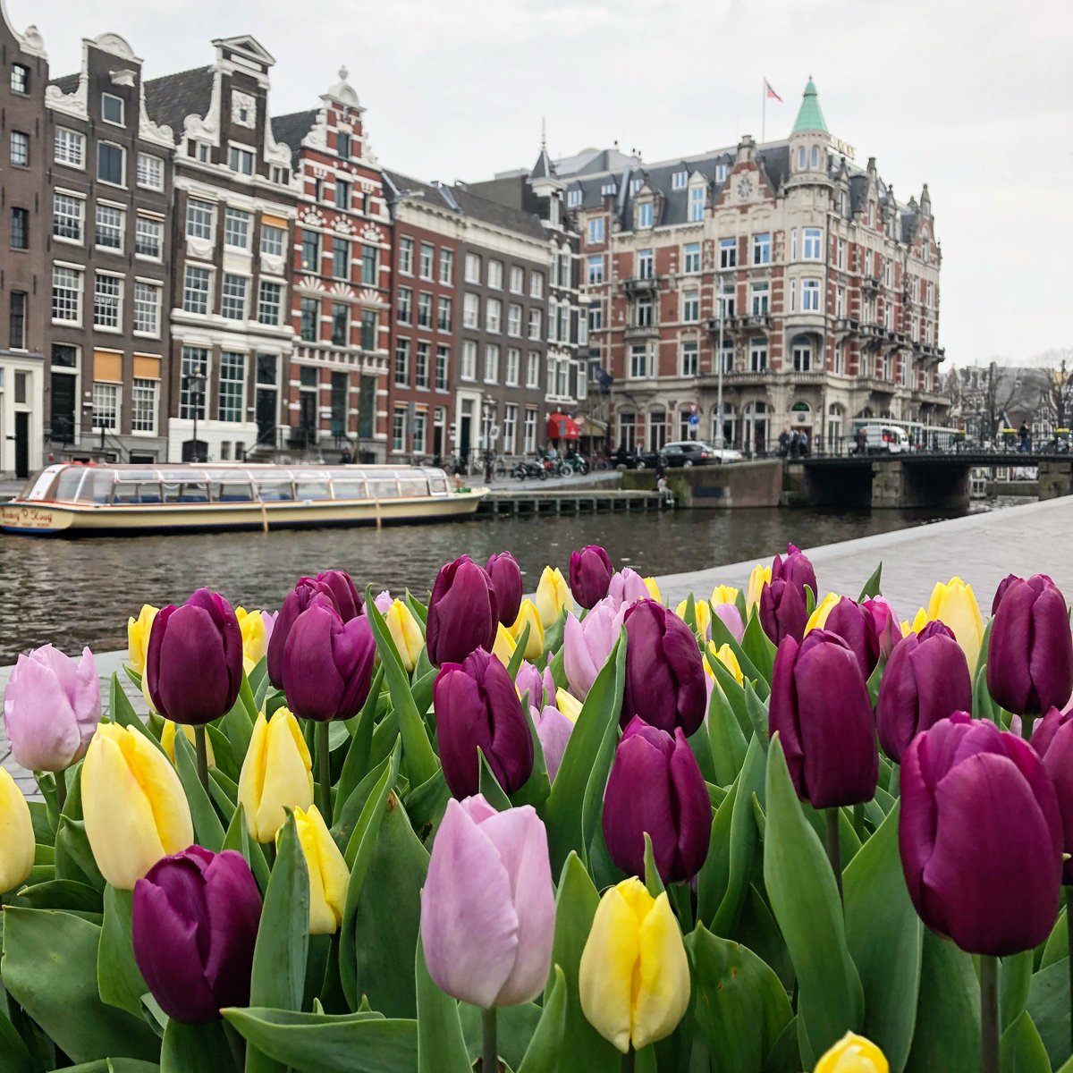 CharlotteMKG's tweet photo. Strolling through the streets of #Amsterdam - This city inspires such creativity especially after last week's @mdwsummit! I'm feeling all sorts of creative vibes for my business! #WomenWhoDare #GetInspired #CreateBiz #Travel #IloveAmsterdam https://t.co/jSp8xBhKFl