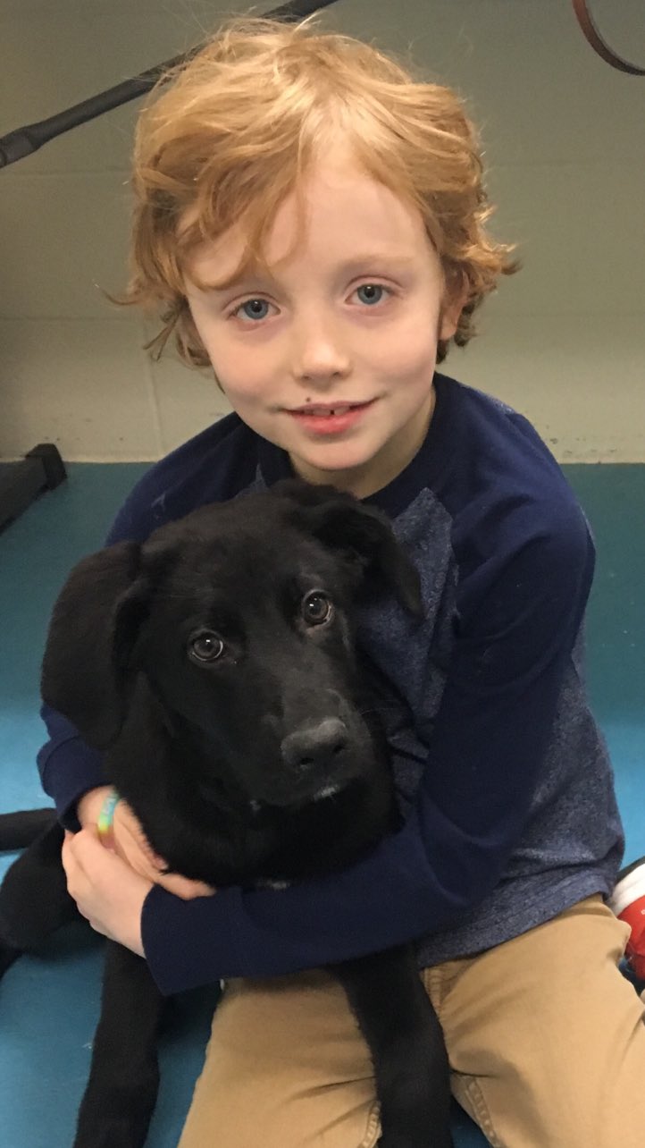 Mark Pryor on Twitter "My assistants informed me it’s national pet day