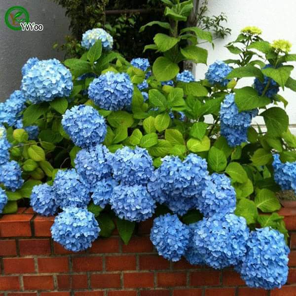 요즘 정치인들의 막말이 도를 지나치고 있다.
명심하라.
국민들은 알면서도 침묵 할 뿐이다