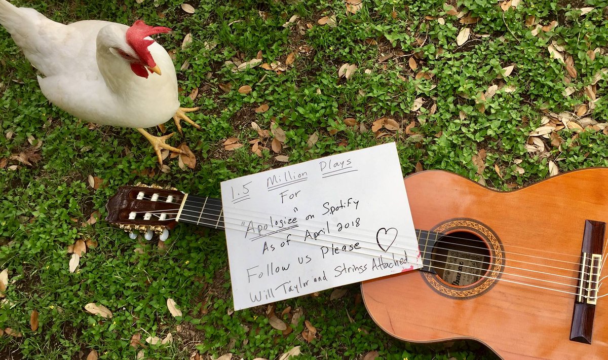 StringsEventMus's tweet image. Follow us on Spotify.. We're up to 1.6 million plays for our hit. #spotify