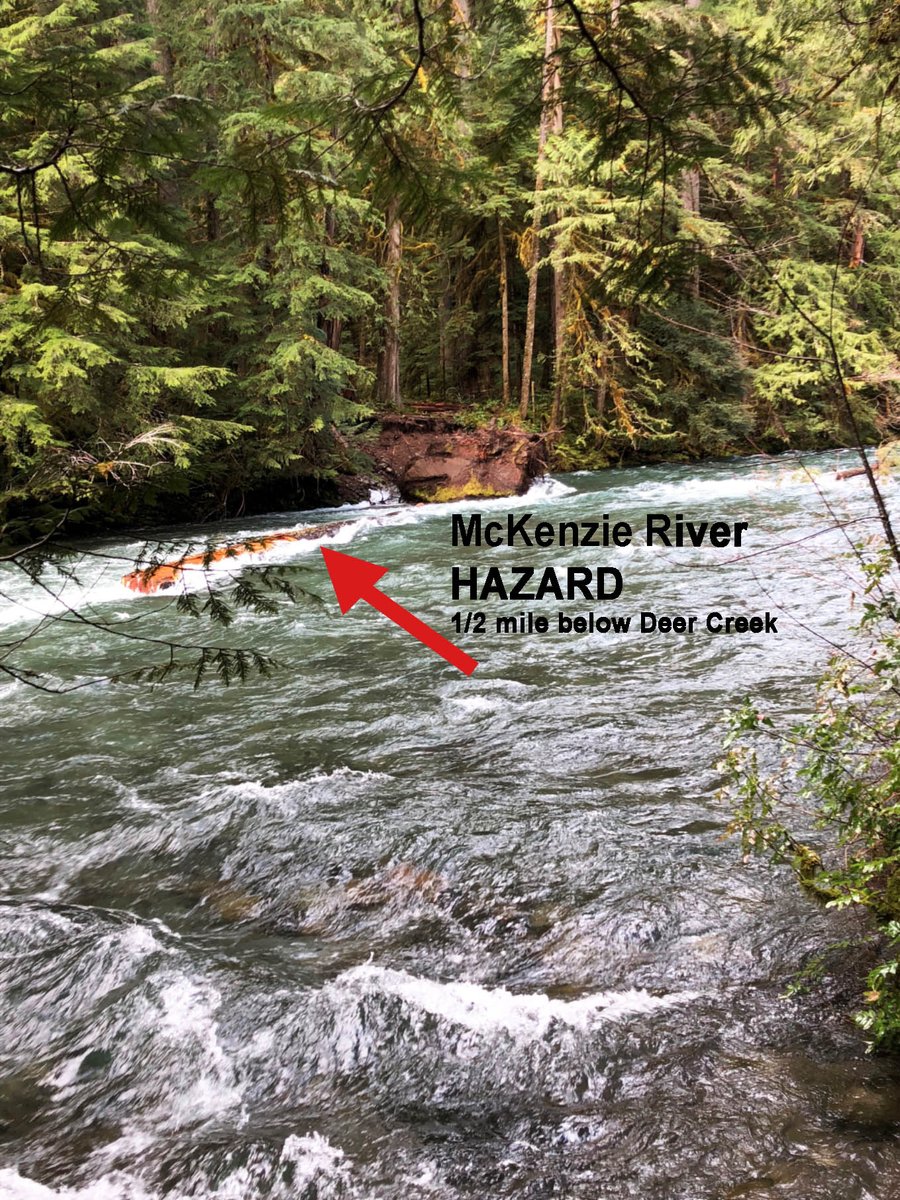 willametteNF's tweet photo. Update on the trees across the McKenzie River ½ mile below Deer Creek: With high water flows, the trees have swung to river right and passage is now open on river left. #McKenzieRiver #RiverHazard #AlwaysScoutTheRiver https://t.co/EjfkJ7iFVp
