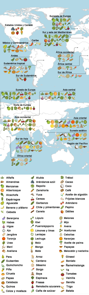 ecoosfera's tweet photo. Un mapa que nos dice de donde provienen los alimentos que consumimos:
https://t.co/PewoHWBG0h https://t.co/cNTVOr30Wq