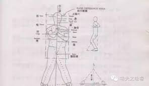 mtlechampion's tweet photo. #Position And básic structure Ving Tsun # https://t.co/125YqCQzLQ