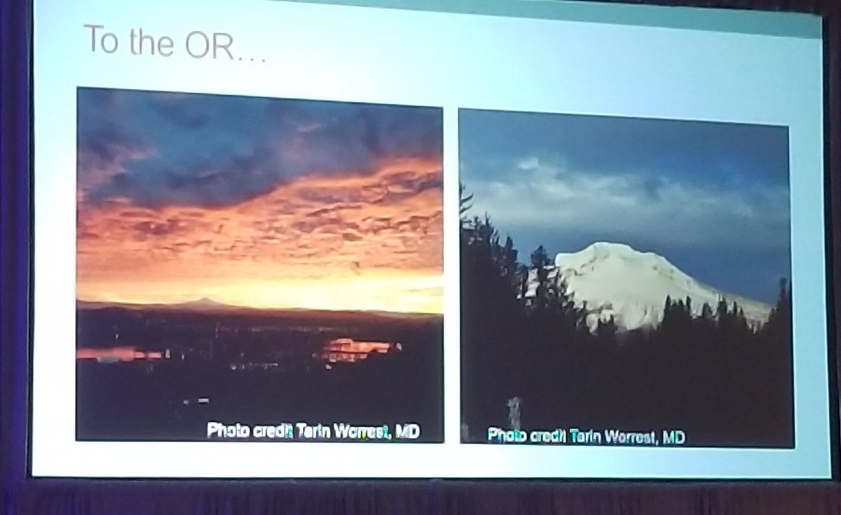 When your program director gives you photo credit at a national meeting... #oregonphotography #mthood #sages2018