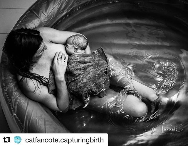 OzBreastfeeding's tweet photo. #Repost @catfancote.capturingbirth with @get_repost
・・・
A precious moment, that first feed, frozen in time. .
#catfancote #perthbirthphotographer #birthphotographyperth #perth #thisisbirth #firstfeed #gotmilk #borninwater #whynothome #homebirthperth … https://t.co/XutyCV5iBu https://t.co/YkwHBVeApc