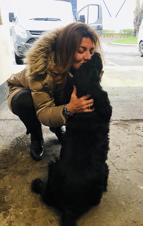 AngloPets's tweet photo. #love from @paphosairport to @DSA_Airport #dog #reunited #family #petpassport #cockerspaniel https://t.co/7XqqV4JxV4