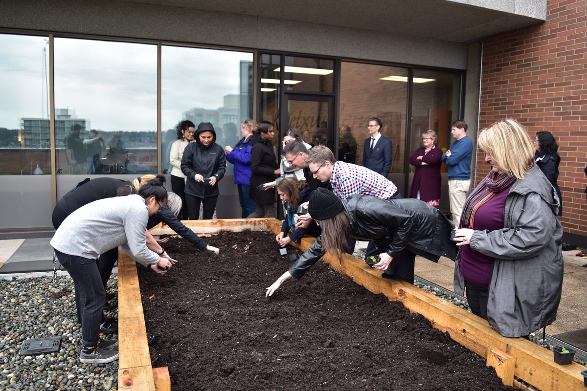 douglascollege's tweet photo. #NewWestminster Campus's Aboriginal Garden was officially opened today with the planting of traditional First Nations plants and a smudging ceremony. https://t.co/PsC3kLkASr