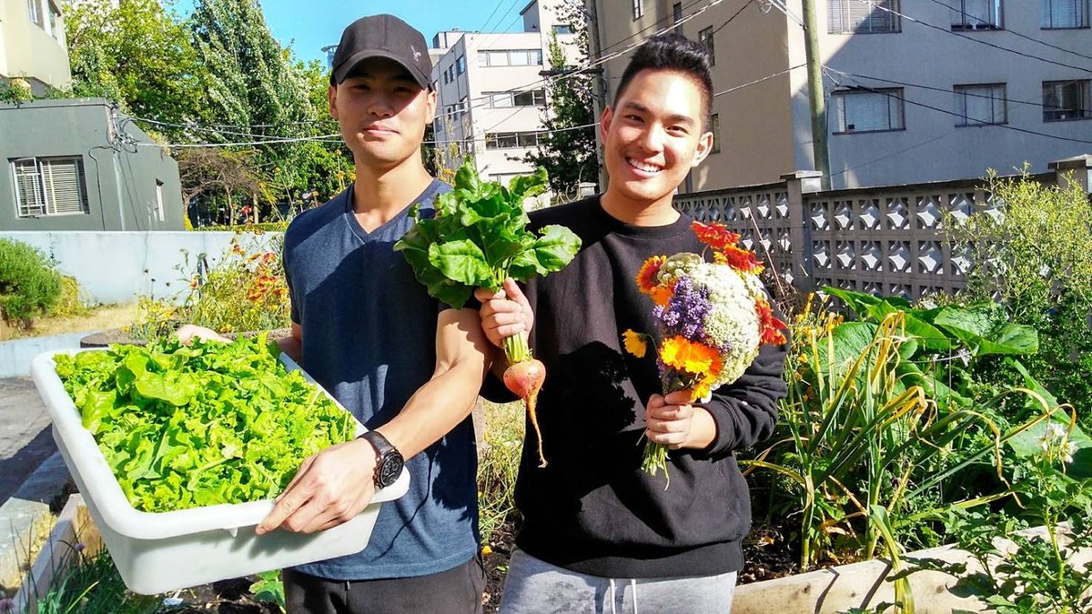 Vancouver Neighbourhood Food Networks 🍽️ tweet media