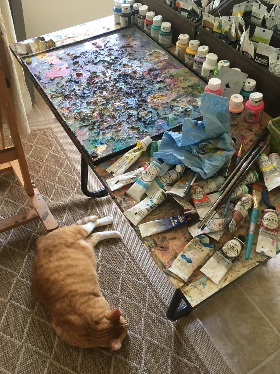 #NationalPetDay - My brave studio buddy likes to be near the action &amp; sleeps right through it! ❤️😺