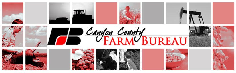 SenatorLodge's tweet image. Thank you to the Canyon County Farm Bureau for your endorsement!  I’m proud to support Canyon County Farmers and Ranchers.