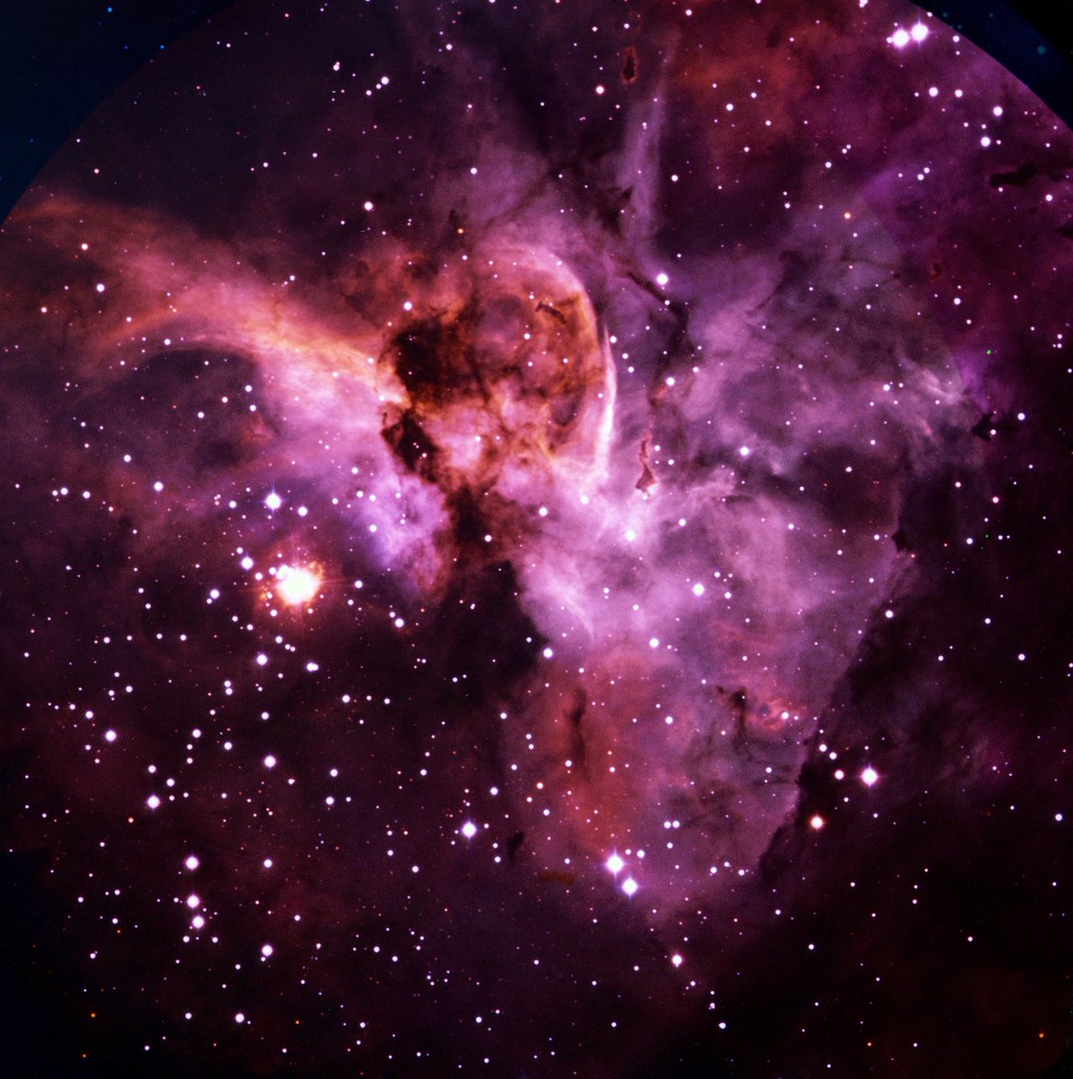 Álex Riveiro sur Twitter : "Eso nos deja con Eta Carinae, que es muy interesante por sí misma. Esta estrella solo es visible desde el hemisferio sur y se puede ver en