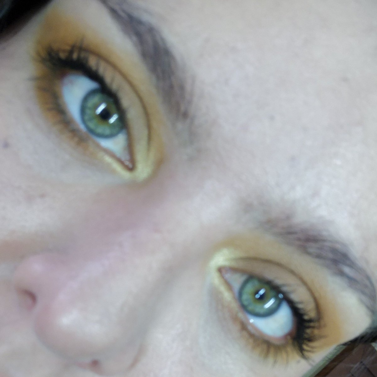 encisomd's tweet photo. @bhcosmetics I'm in love with my #glamreflection Gilded palette π https://t.co/W4Fdh56760