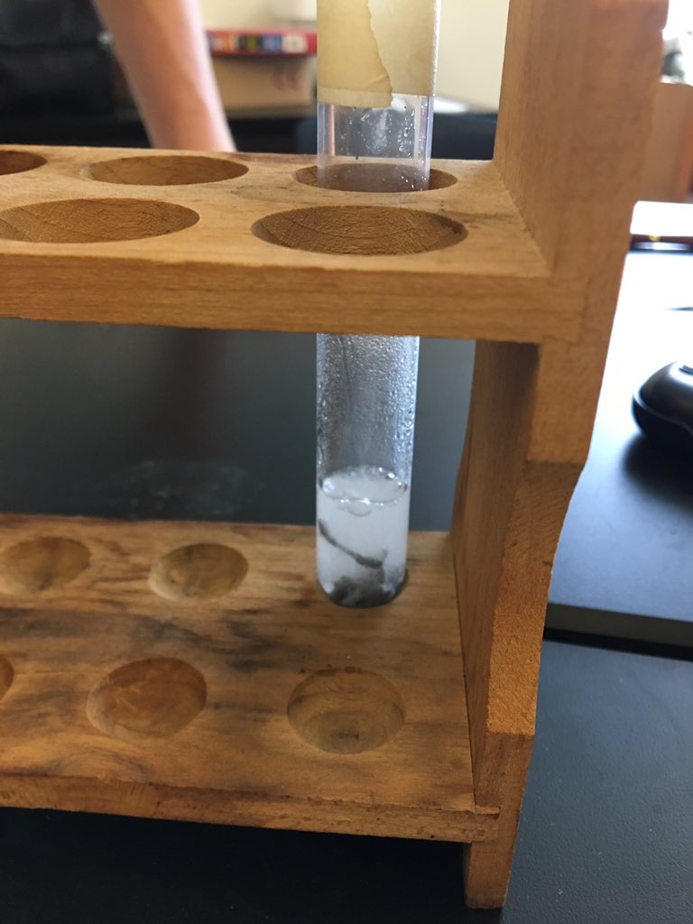 atkinswestchem's tweet image. Reactions Lab Day 3 - checking out Zn and HCl and learning about the flaming splint test🤓🔥@WSFCS_Science #RealTimeChem #WeDoScienceWell #ExpModelDemo