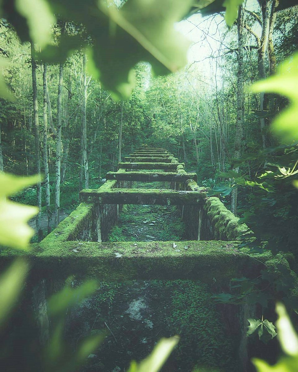 I love Nature tweet media