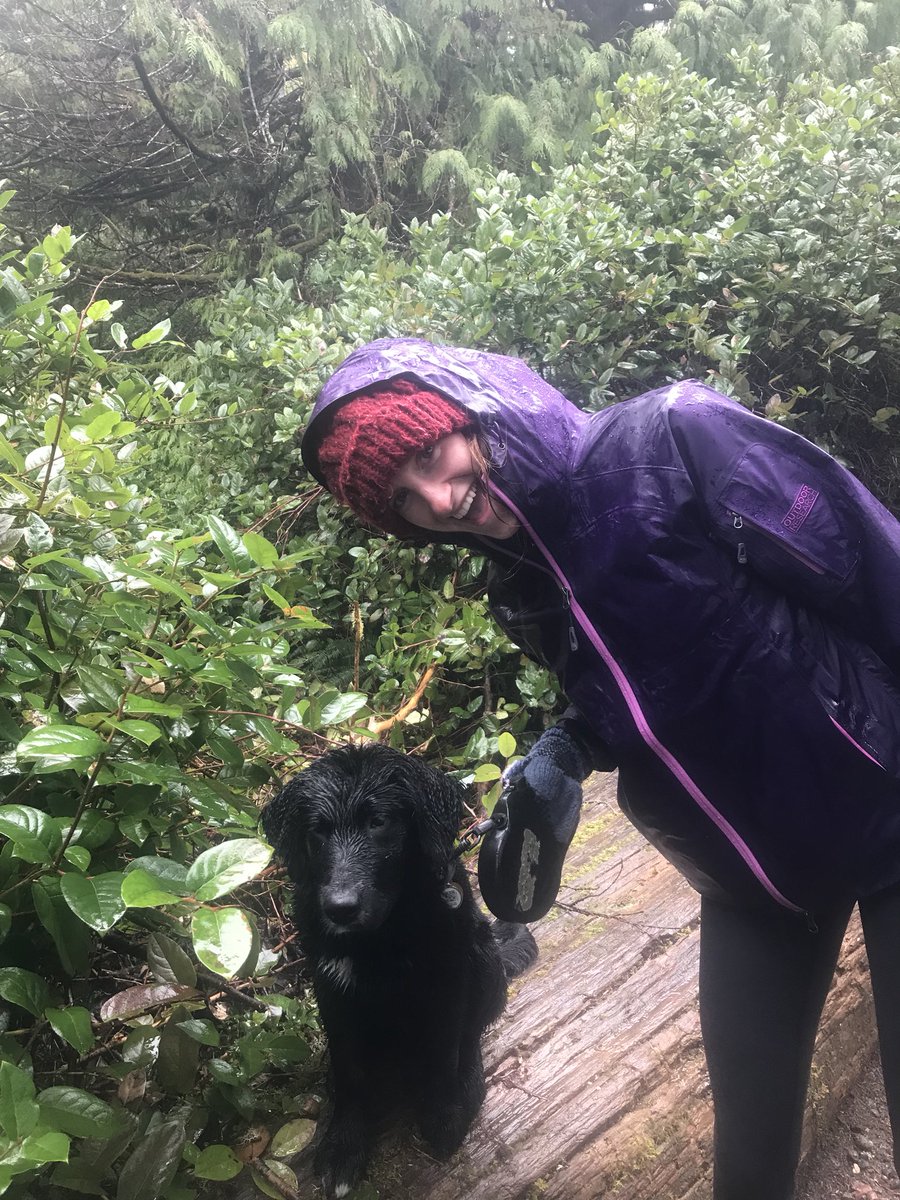 MarrMediaGroup's tweet photo. Here at mad media, we love our pets! We get in a good walk even on the rainiest of days. #Nationalpetsday https://t.co/fbE7zNGcFi