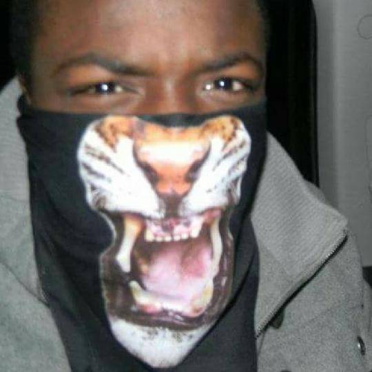 Treborhgils's tweet photo. ๐ YASSS It's time for a great show โKyiLL๐ฒ:Gaming and #Music #CoinDr
https://t.co/RVcIxkMYiH https://t.co/0Z5CgA2afv