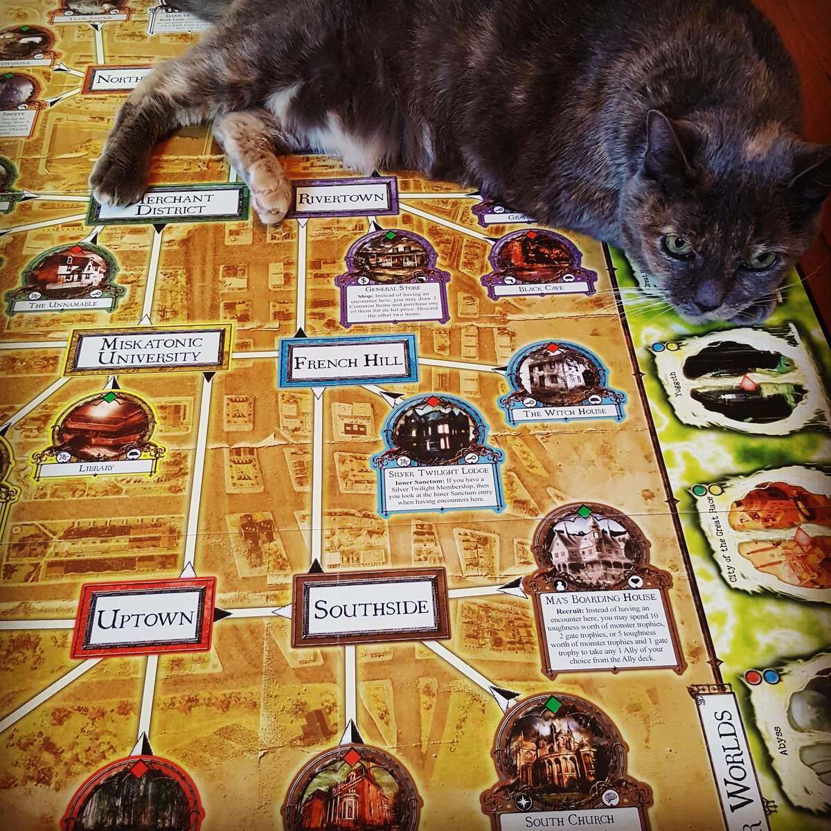 basicaveragegrl's tweet photo. New #expansion for #arkhamhorror. Story of Catthulu. #boardgameproblems #boardgames #bbg #boardgame #tabletopgames #tabletop #boardgamegeek #arkham #catsofinstagram #cat #instagame #kittycat #kitty https://t.co/AjhMucMuxJ