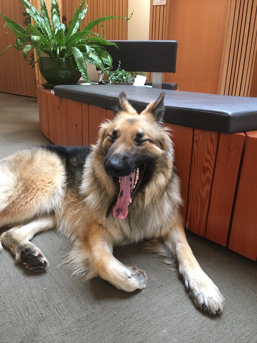 Tall Tree Health tweet media