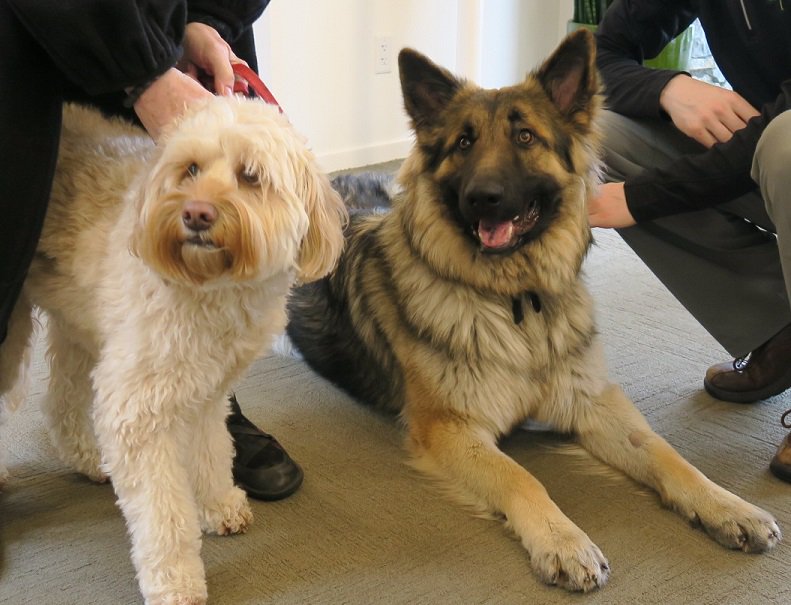 Tall Tree Health tweet media