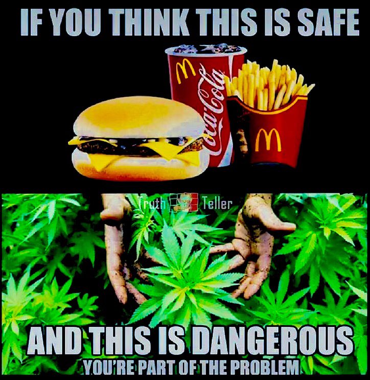 NorCalStoner420's tweet image. #Cannabis is Safer Than What #Monsanto Wants to Shove Down Our Throats!!