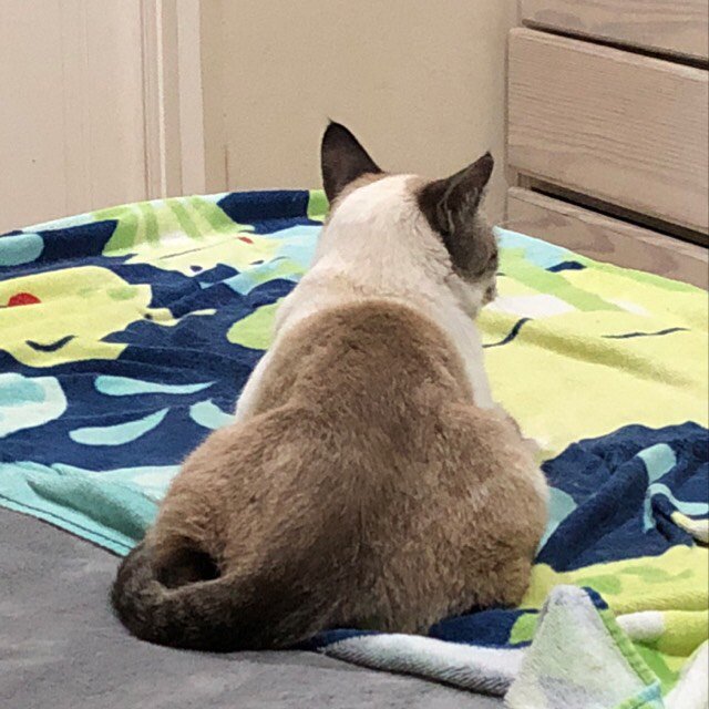 jamiemsurf tweet media