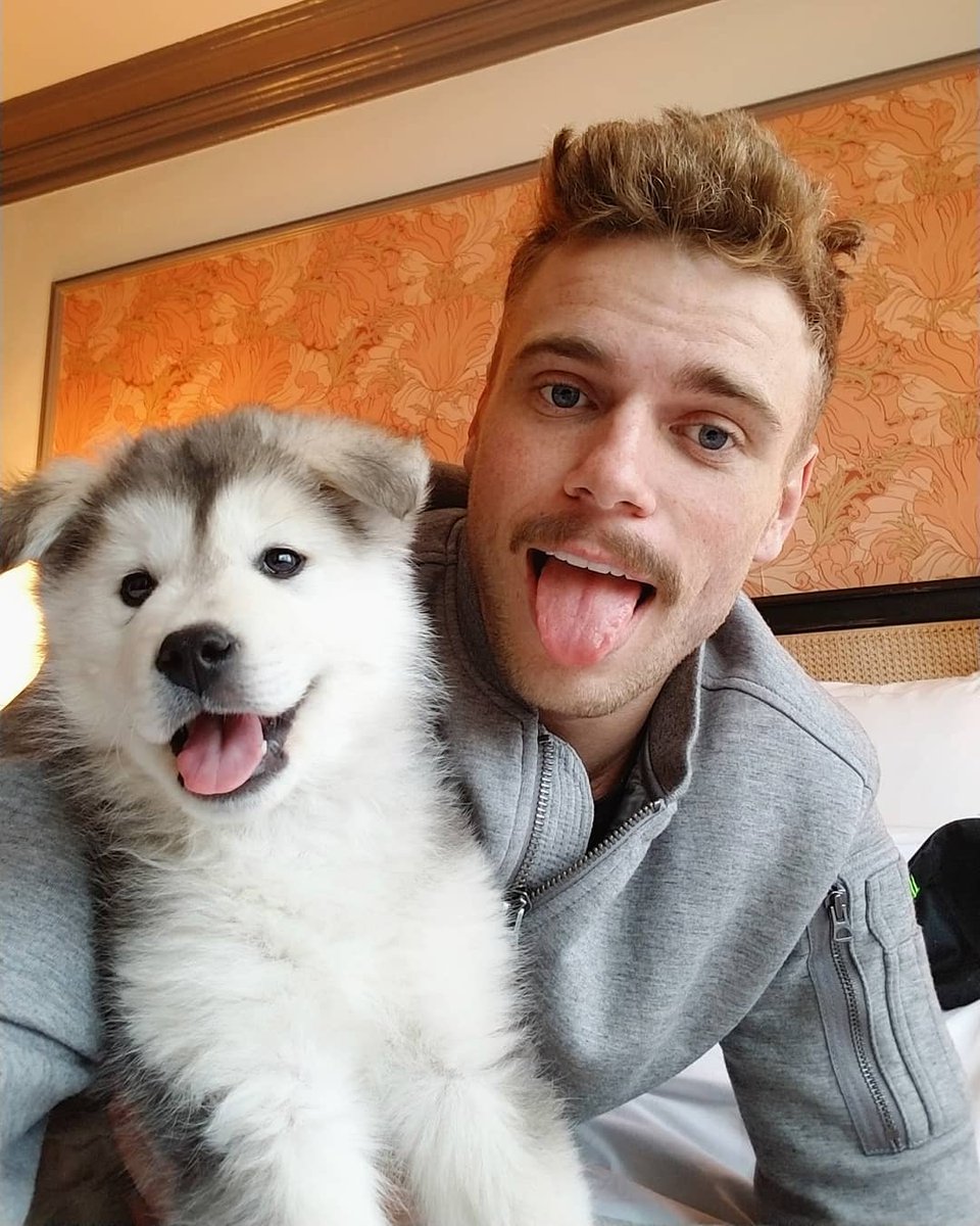 Grindr's tweet photo. Which pup is cuter: @guskenworthy or his rescue @beemopup? 😍 We can’t decide. #NationalPetDay #repost https://t.co/dRIwWwJr2p