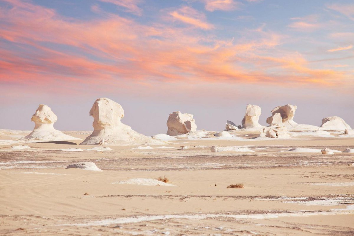 DokoToday's tweet photo. The White Desert in Egypt
#dokotoday #nature #nationalPark #holiday #travel #instatravel #travelphotography #travelling #instagood #amazing #love #followme #旅 #旅行 #海外 #写真 #여행에미치다 #해외여행 #여행스타그램 #세계여행 #Egypt #이집트 #エジプト https://t.co/T4RAsK1gLp