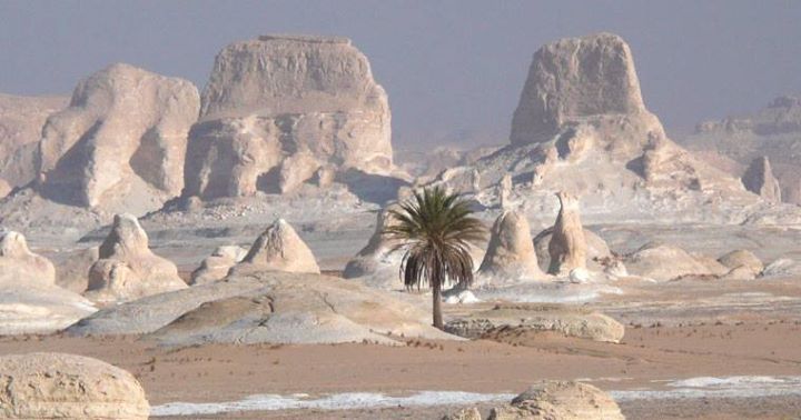 DokoToday's tweet photo. The White Desert in Egypt
#dokotoday #nature #nationalPark #holiday #travel #instatravel #travelphotography #travelling #instagood #amazing #love #followme #旅 #旅行 #海外 #写真 #여행에미치다 #해외여행 #여행스타그램 #세계여행 #Egypt #이집트 #エジプト https://t.co/T4RAsK1gLp