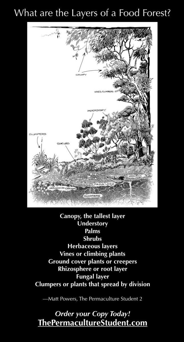 view contributions to the history of economic thought essays in honour of rdc black routledge studies in the history of