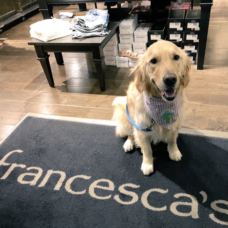 Our friend @my_calvin_and_hobbes is celebrating #NationalPetDay with a shopping spree! 🐾 🐶 #francescas #franlove