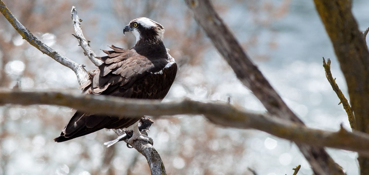 Daniel Walters tweet media