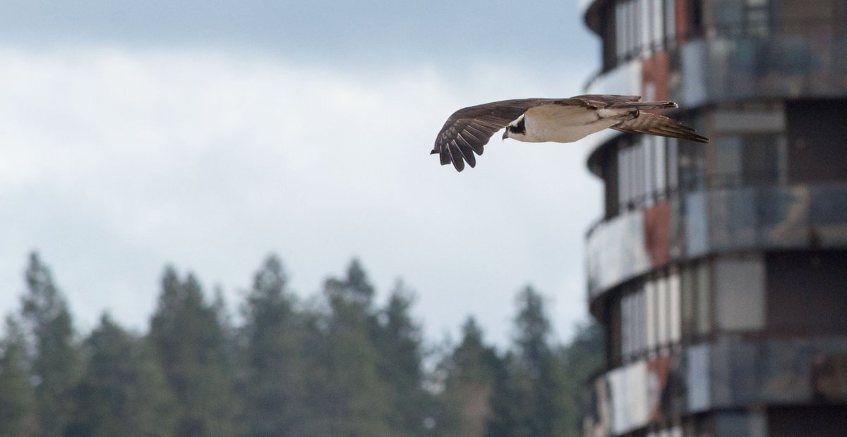 Daniel Walters tweet media