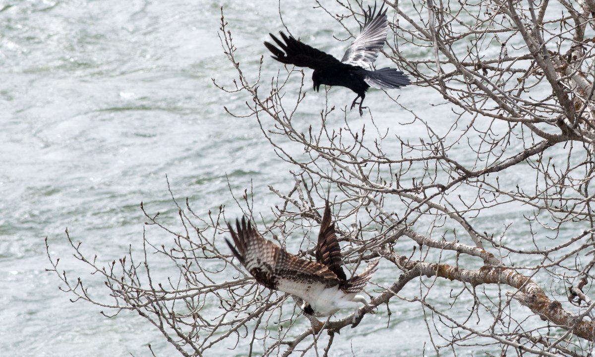 Daniel Walters tweet media