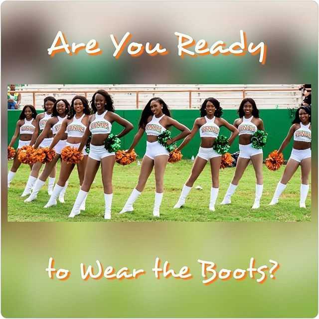 VenomDancers's tweet photo. For more information on joining the 2017-2018 edition of the FAMU POM SQUAD - Venom Dancers visit our website. Link in bio. 🐍🐍🐍
...
.
.
.
#fangsup #kicksup #dance #dancers #makingtheteam #classdignityandstylealways #venomdancers #famudance https://t.co/naGWSXJmhl https://t.co/5T7r26w1xe