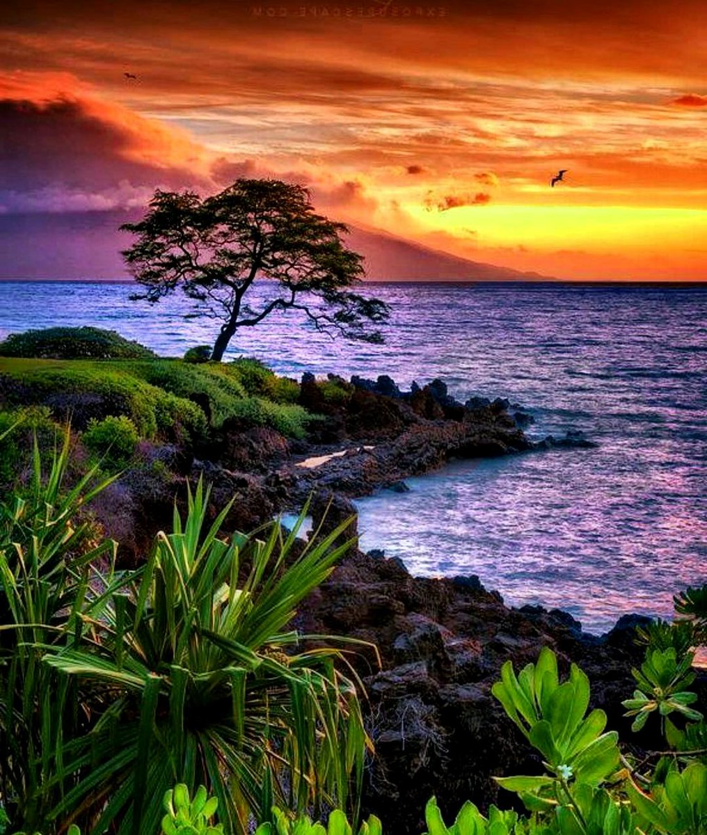 I love Nature tweet media