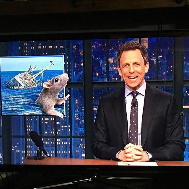 SaschaHudson's tweet photo. Squeak squeak squeak.  OMG HAHA
.
.
.
.
.
.
#funny #sethmeyers #rats #ship #sea #ocean #paulryan #latenight @latenightseth #latenightwithsethmeyers https://t.co/NEYgMeaQmX https://t.co/BWzwwQPV1T