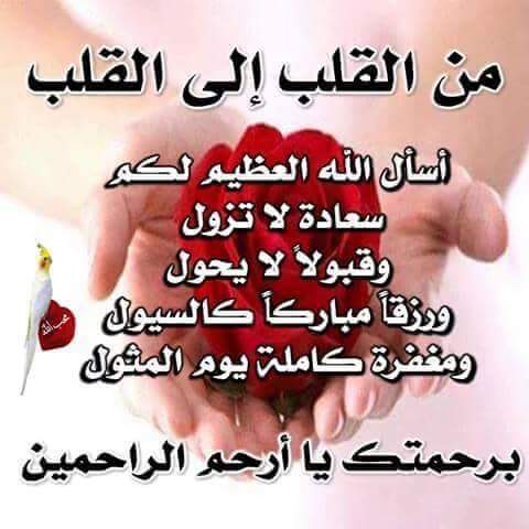 مصارف الصحاري المرج Posts Facebook