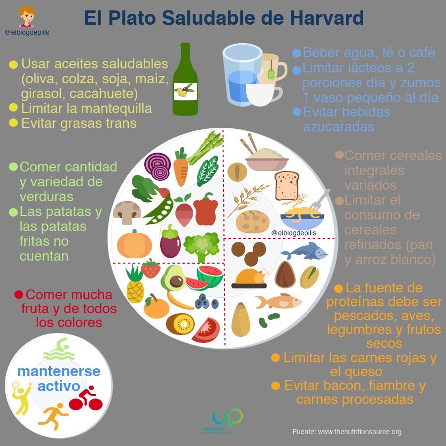 Virtu Roig on X: El Plato Saludable de Harvard  🥗🥕🥒🥦🍅🍆🥑🥝🍍🍍🍒🍑🍓🍇🍉🍊🍏🍎🍋🍐🍌🍗🍞🍲🏄‍♀️🤸🏻‍♂️   / X