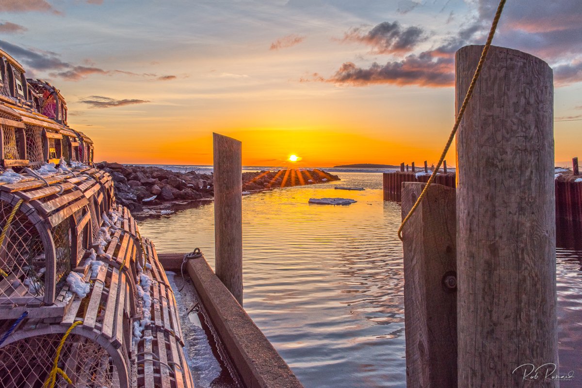 Rob Romard tweet media