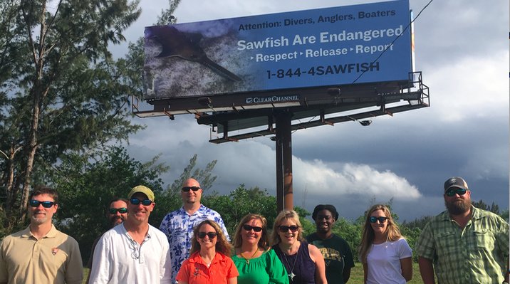The U.S. Smalltooth Sawfish Recovery Team took some time today after the close of our annual meeting to visit and celebrate the new educational billboard on Route 1 near Florida City #Hooray4Rays #Pristidays
