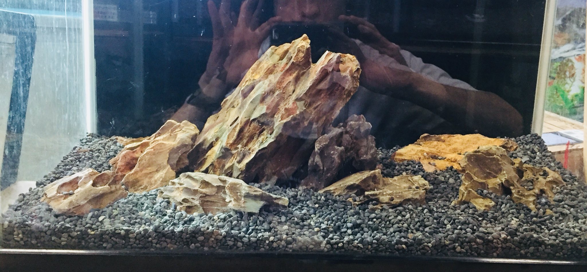 アクアテイク E アクアテイクイー 熱帯魚専門店 カミハタの気孔石レイアウトセットの使用例です 60 水槽 大1個 中3個 小5個が入って 合計約6kgです 特価2 980円にて販売中です 気孔石 石組