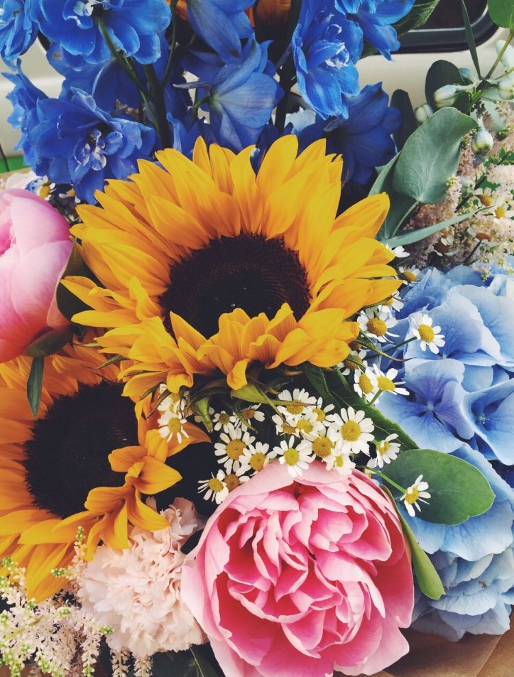 sunflowerlust's tweet photo. Sunflowers will always melt my heart https://t.co/Gx7jn3pE9E