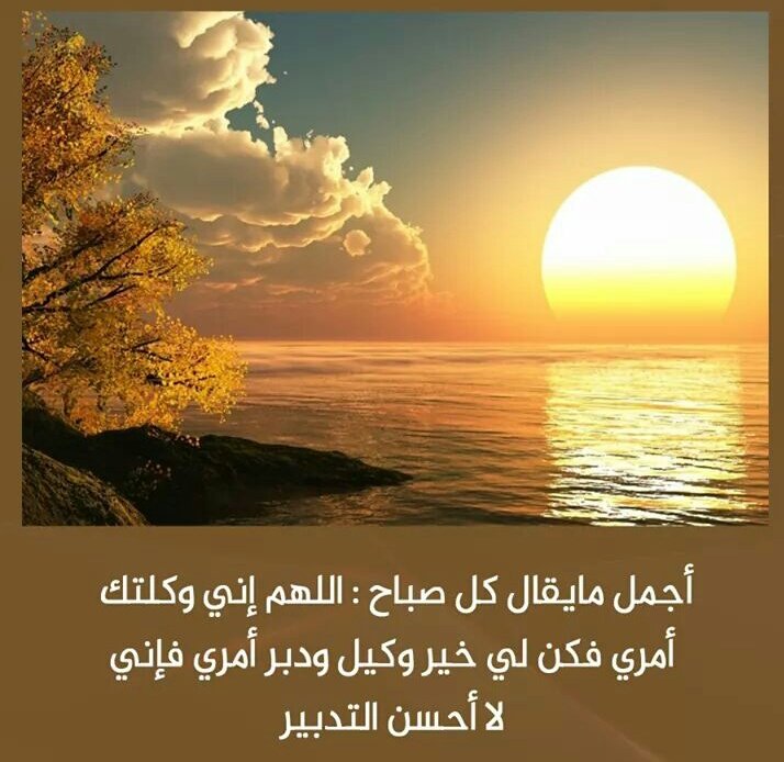 HamadAlMuneef's tweet photo. اللهم يا من قلت :
﴿والصُّبْحِ إذَا تَنَفسَ﴾
أكتب لي ولمتابعي الكرام من أنفاس هذا الصباح .. علماً ورزقاً وفهماً وبشارة تسعد بها قلوبنا .. يا رب العالمين. https://t.co/mX3Ef2mnx8