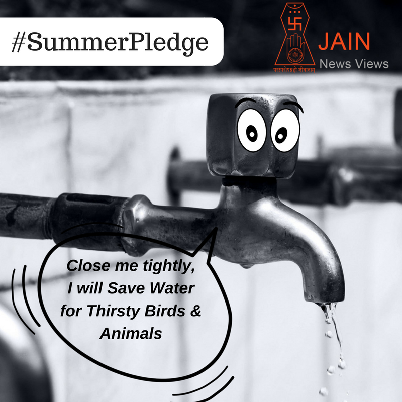 jainnewsviews's tweet photo. We agree to the Tap
नल को बंद अछेसे करे, पानी बचाये और पशु पक्षी को पिलाये
Join us in #SummerPledge
#summer #water #savewater #heat #birds #animals #jainism #savebirds #love #pledge #humanity #human https://t.co/IJLh8FCheT
