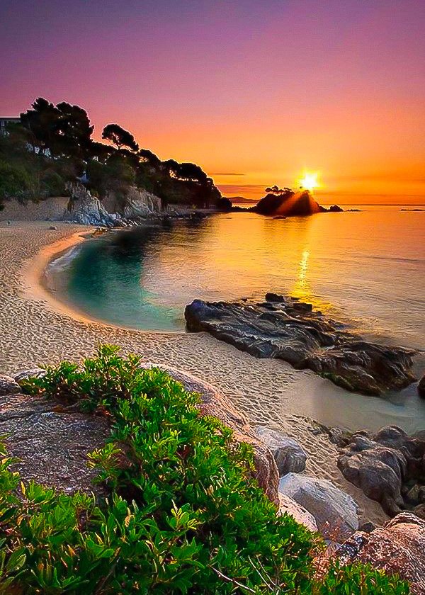 玄帝垂訓曰 人間私語라도 天聽은 若雷하고 暗室欺心이라도 神目은 如電이니라

≪현제수훈≫에 말하였다. 
“사람들이 사사로이 하는 말이라도, 하늘은 우뢰 소리처럼 크게 들으며, 어두운 방에서 자기 마음을 속이더라도, 귀신은 번개처럼 분명하게 본다.”

#명심보감 #천명편 03

#좋은글