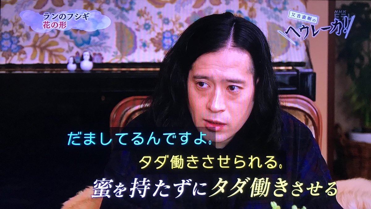 三島由紀夫も 美の病気 と称した 蘭の花 実はメチャクチャ怖い生存戦略を持っていた 又吉直樹のヘウレーカ Togetter
