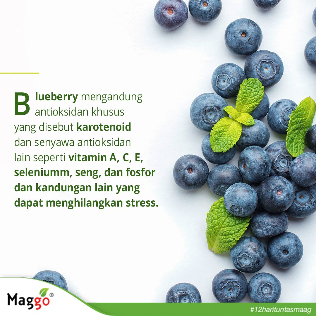 MaggoID's tweet image. Kamu suka buah blueberry? Berarti kamu adalah anak yang selalu gembira. Benar ‘kan?
#Maggo
.
.
.
#Blueberry #ManfaatBlueberry #BuahBlueberry #StressFree #BebasStress #Lifestyle