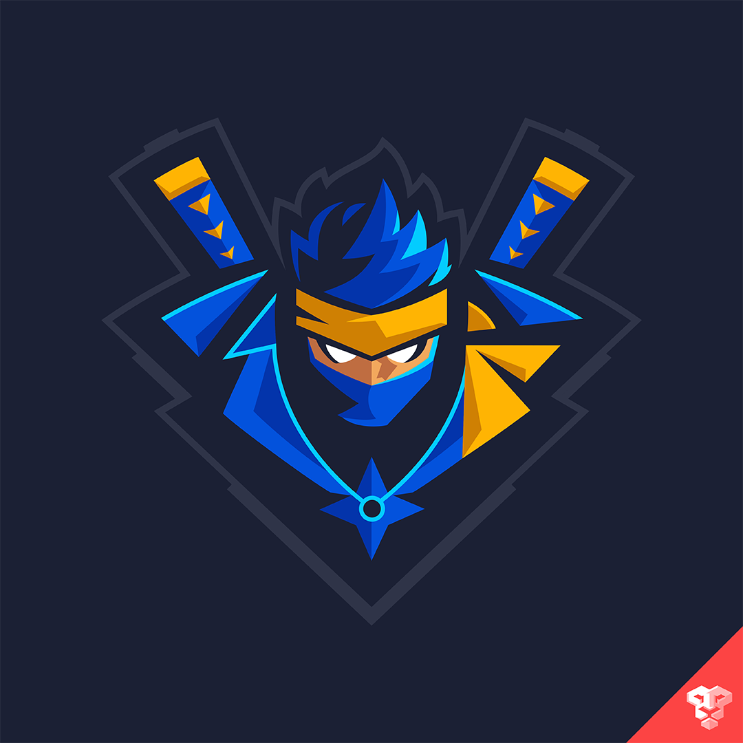 Rocket Lion on Twitter: "The @Ninja stream transformation is on the way