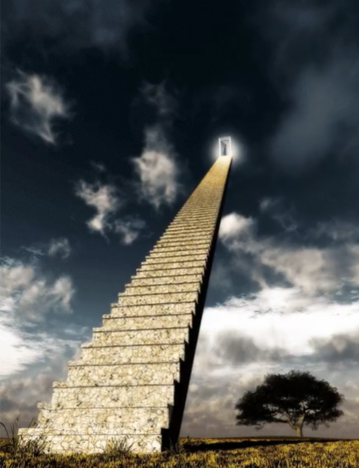 Alex Escobar tweet media