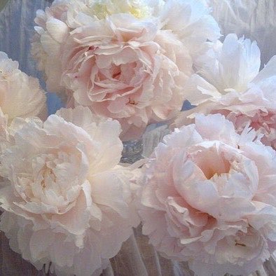 「⠀ɢᴏᴅ—
ɪ ɴᴇᴇᴅ ɢʀᴀᴄᴇ ʙɪɢɢᴇʀ ᴛʜᴀɴ ᴍʏ ᴍᴏᴜᴛʜ．
⠀ ɪ ɴᴇᴇᴅ ᴍᴇʀᴄʏ ᴛʜᴀᴛ ʀᴇsᴏᴜɴᴅs ᴛᴇɴ ᴛʜᴏᴜsᴀɴᴅ ᴛɪᴍᴇs ᴀs ʟᴏᴜᴅ．
⠀ ɪ ɴᴇᴇᴅ ʀᴇᴅᴇᴍᴘᴛɪᴏɴ ᴛʜᴀᴛ ʀɪɴɢs ᴄʟᴇᴀʀᴇʀ ᴛʜᴀɴ ᴍʏ ᴅɪsᴛᴏʀᴛɪᴏɴ．」

⠀ ⠀ ⠀ ⠀ 【♡】ɪ ɴᴇᴇᴅ ʏᴏᴜ．